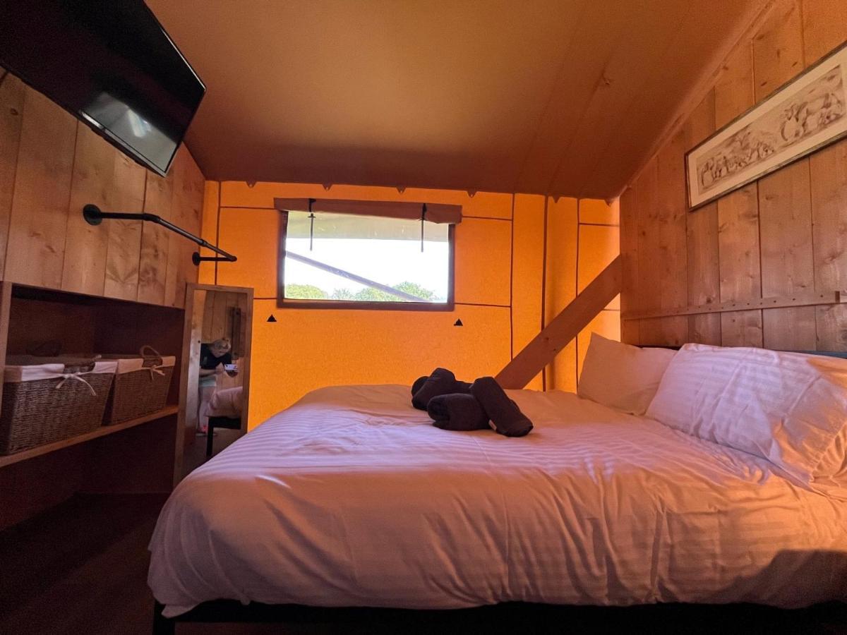 Aladdin Safari Tent Tenby Ngoại thất bức ảnh